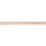 gadola_lion_florence_lettre2.jpg
